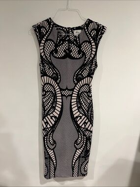 eci embroidered sheath dress Sleeveless Illusion Floral Embroidery Sheath Dress In Navy Ecru, Navy/Ecru / Regular / 2
